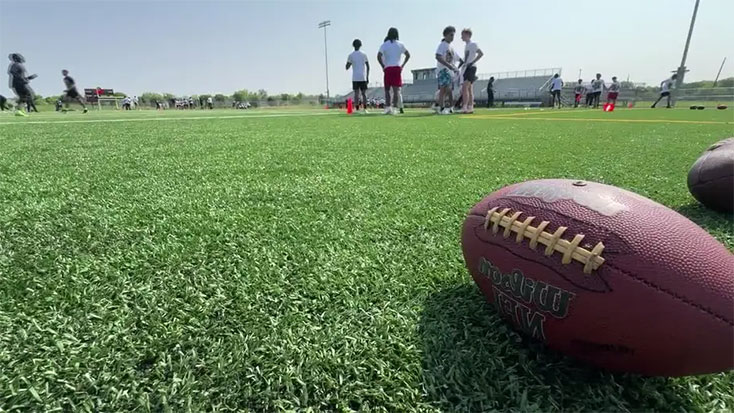 Padding for Artificial Grass